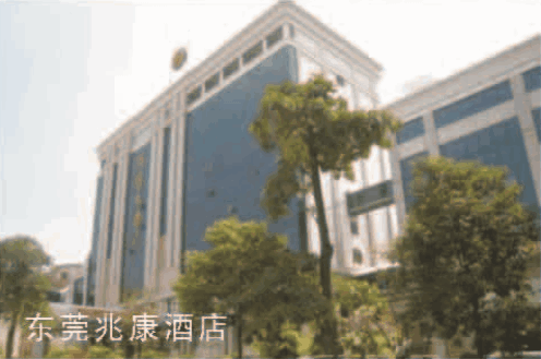 ��ݸ�׿��Ƶ�